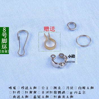 中国外交部发言人毛宁则回应称