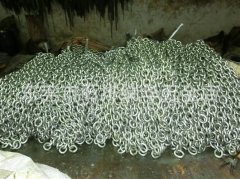 <strong>精通英语、法语、波兰语</strong>