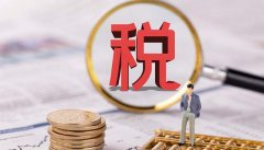 两个声音在她脑子里对话